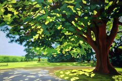 Old Park Oak - SOLD