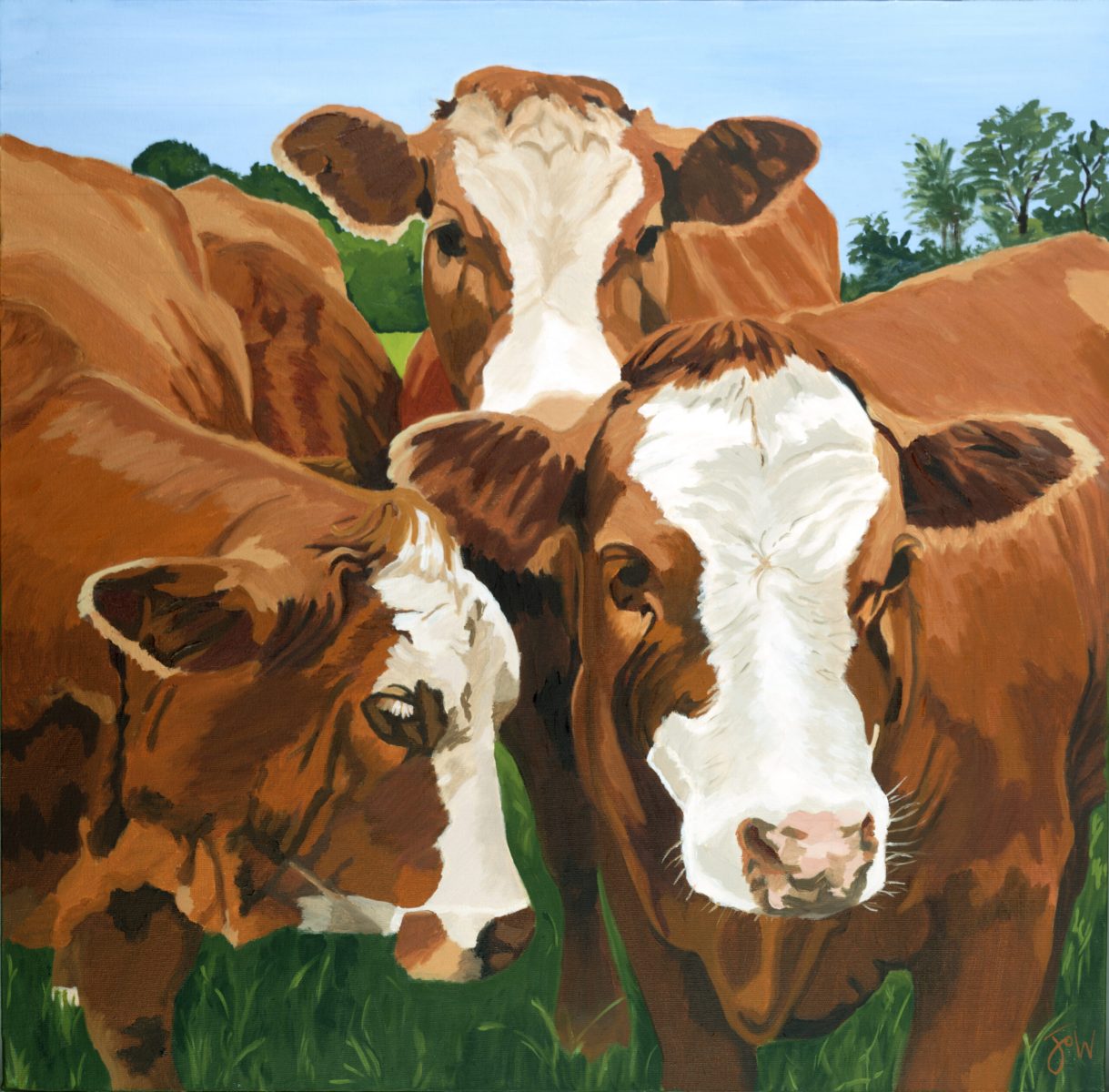 Four Herefords - FOR SALE