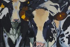Cows - SOLD