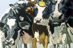 Cows IV - SOLD