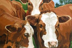 Four Herefords - FOR SALE