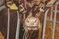 Breakfast anyone? Trenchmore calf -FOR SALE
