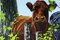 Cows V - SOLD