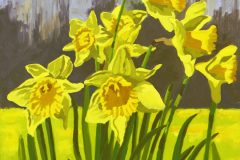 Daffodils - SOLD