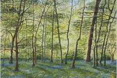 Trees in Spring - SOLD