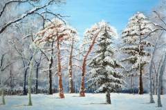 Trees in Winter II - FOR SALE
