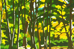 Dappled Light - SOLD