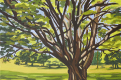Light and Shade - FOR SALE